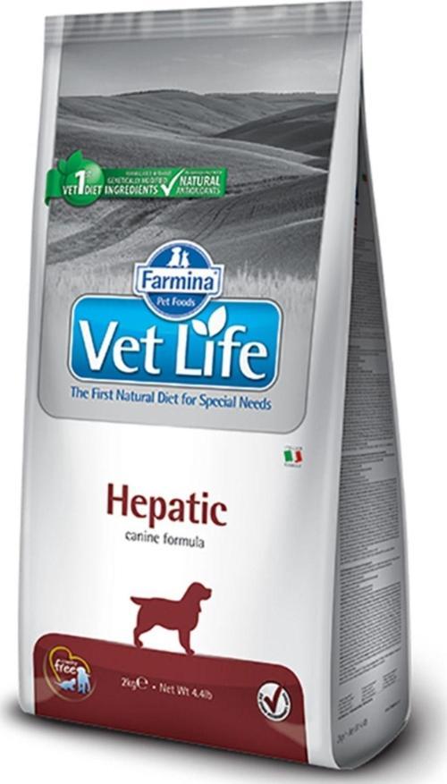 Hepatic Köpek 2Kg