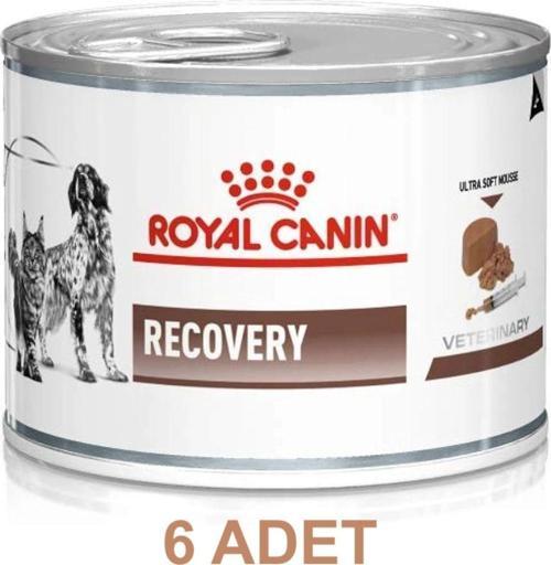 Recovery Pate Yoğun Bakım Konserve Kedi Ve Köpek Maması 195 Gr X 6 Adet