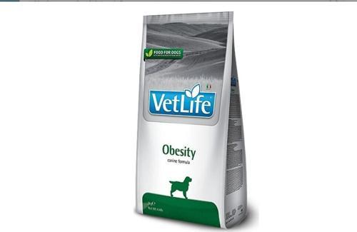 Obesity Köpek 12Kg