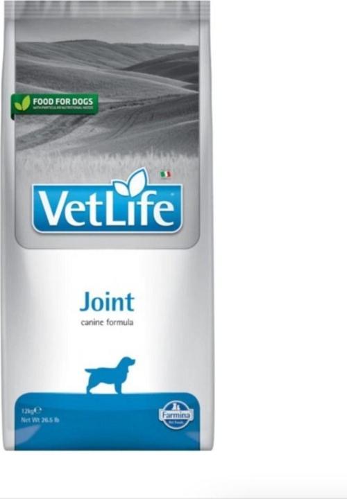 Joint Köpek 12Kg