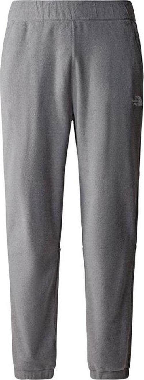 M 100 Glacier Pant Erkek Gri Pantolon Nf0a8561dyy1