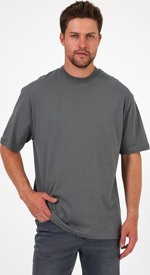 Erkek Bisiklet Yaka Aslan Baskılı T-shirt 7025