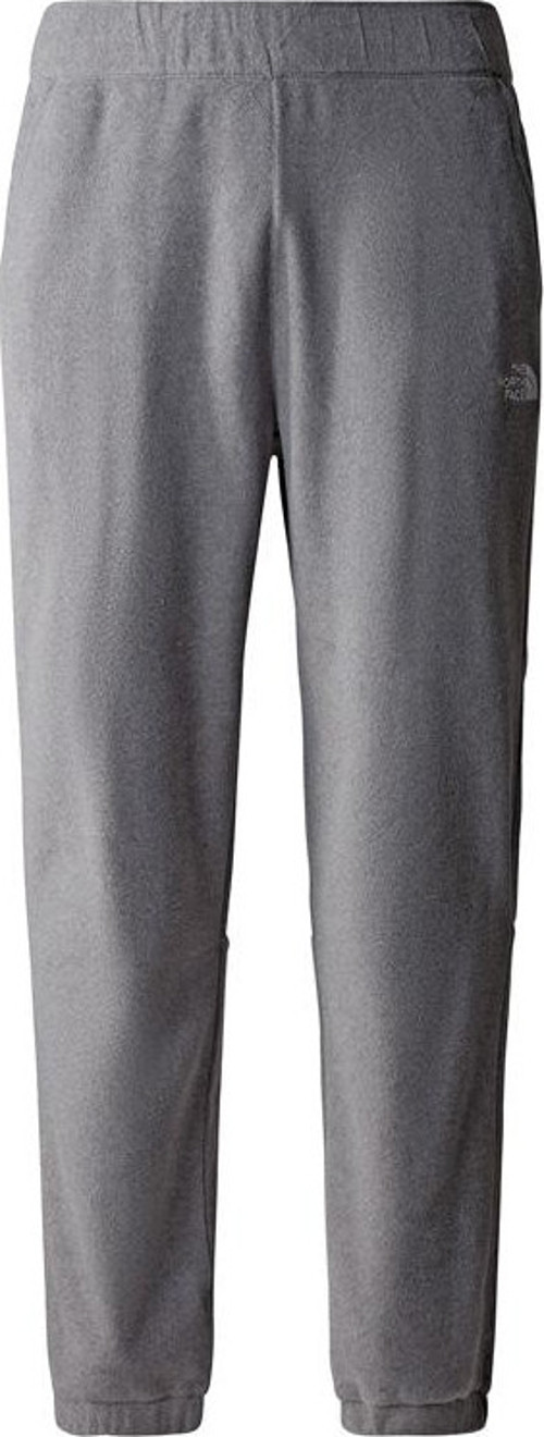 M 100 Glacier Pant Erkek Gri Pantolon Nf0a8561dyy1