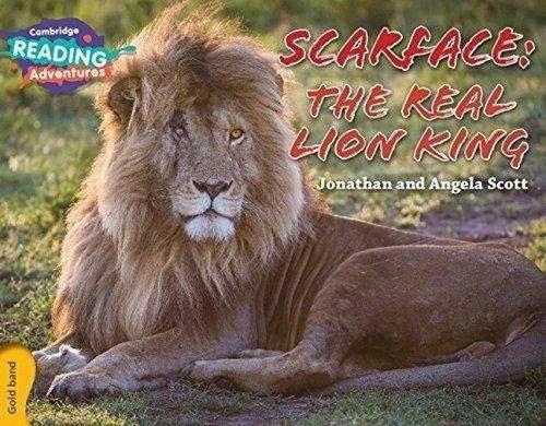 Gold Band- Scarface: The Real Lion King Reading Adventures