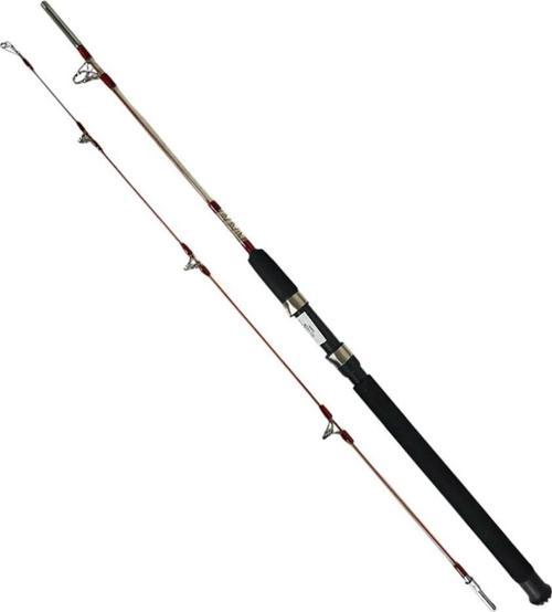 Pegasus 2.40m 100-200gr 2 Parça Kamış