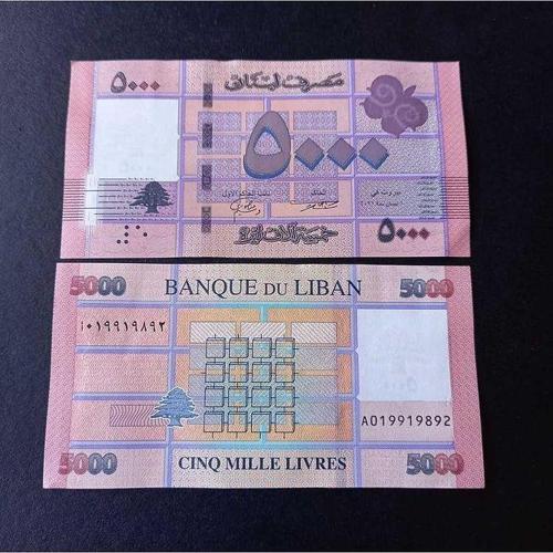 Escoines 39963688916832d72b Lübnan 5000 livres çil eski para
