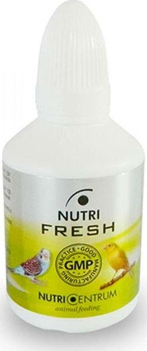 Güvercin İçin Destek - Fresh