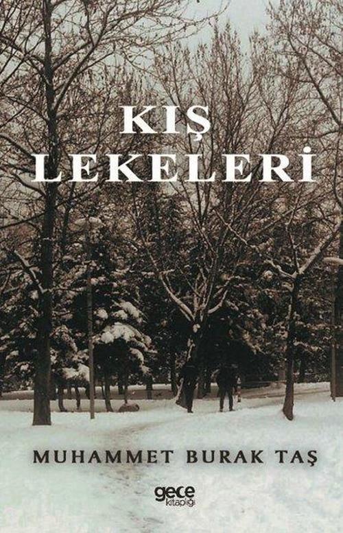 Gece Kitaplığı Kış Lekeleri
