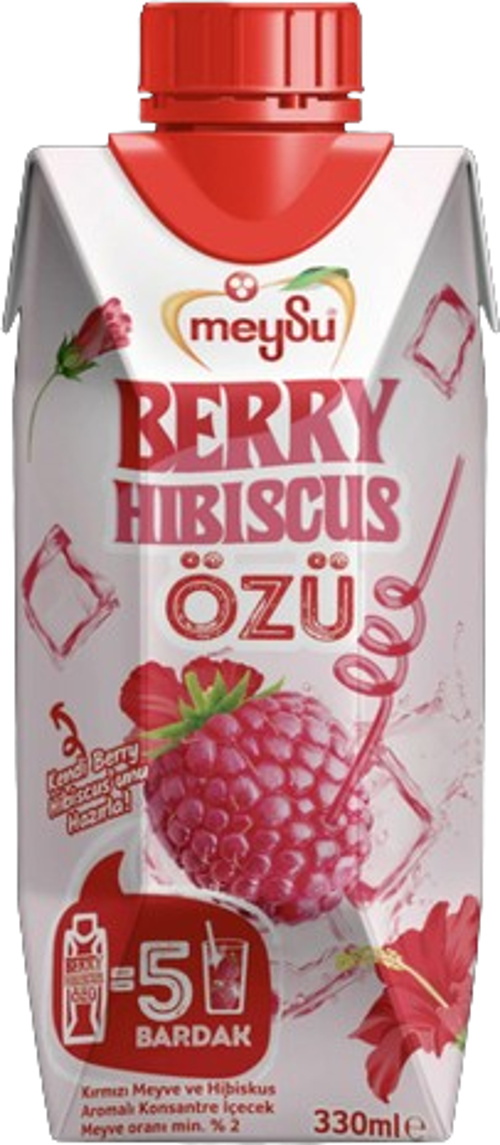 Berry Hıbıscus Özü 330 Ml X 12 Adet