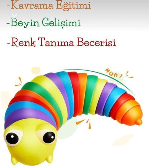 Söktak Eğlenceli Stres ve Anksiyete giderici Montessori Renkli Tırtıl Eğitici Oyuncak 1 Adet