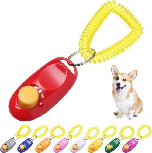 Köpek Eğitimi Clicker Anahtarlık