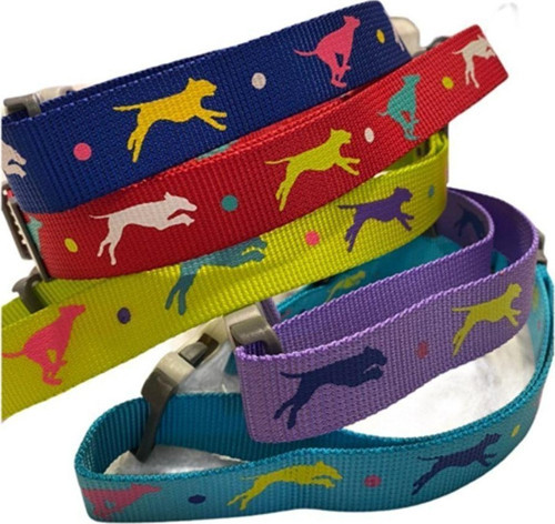 Leaping Dog Premium Boyun Tasması 2,5 Cm X Boyun Çevresi: 40-65 Cm