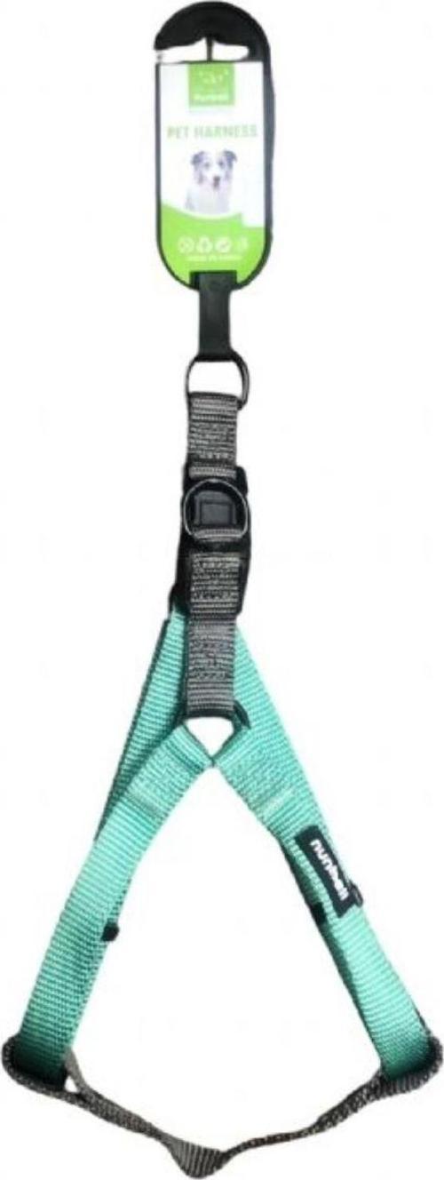Turkuaz Köpek Göğüs Tasması 2 Cm (Göğüs: 40 Cm - 70 Cm)