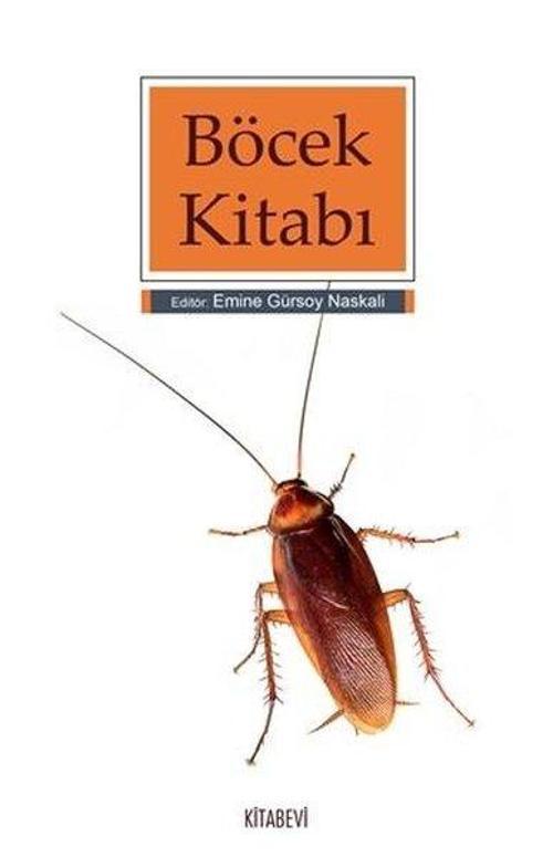Kitabevi Yayınları Böcek Kitabı