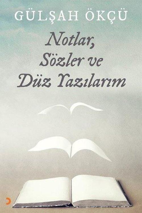 Notlar Sözler ve Düz Yazılarım