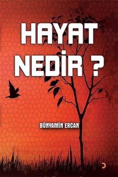 Cinius Yayınevi Hayat Nedir?