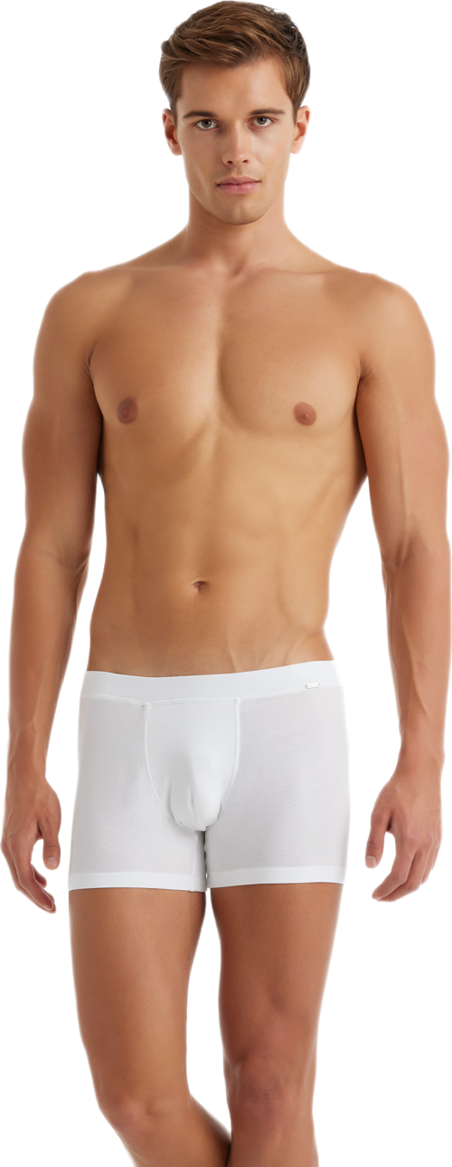Erkek Modal Elastan Boxer Silver 9310 - Beyaz
