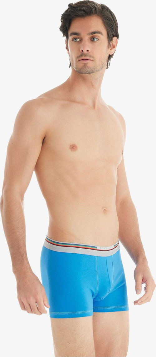Erkek Pamuk Elastan Boxer Colours 9550 - Mavi