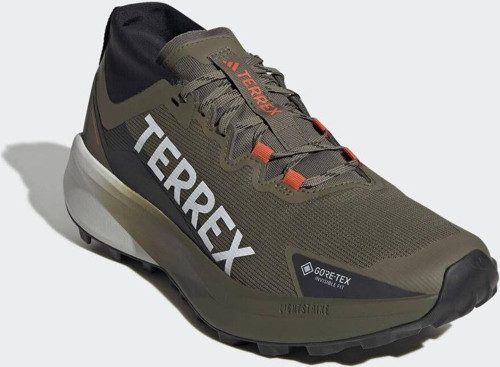 Terrex Agravic Gtx Trail Running Shoes