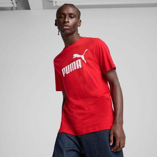 Tees, Regular, Shortsleeve, Crew Neck, Regular, Logo Print