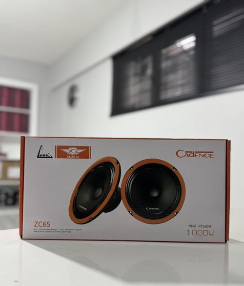 ZC-65 16CM MİDRANGE HOPARLÖR TAKIMI