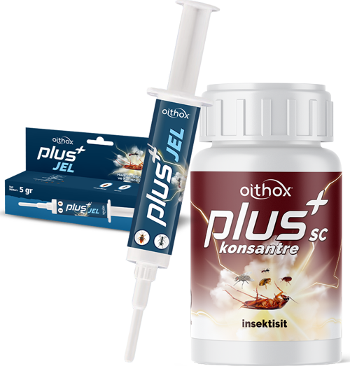 Plus Hamam Böceği ve Karınca Jeli 5 gr & Oithox Plus SC 50 ml