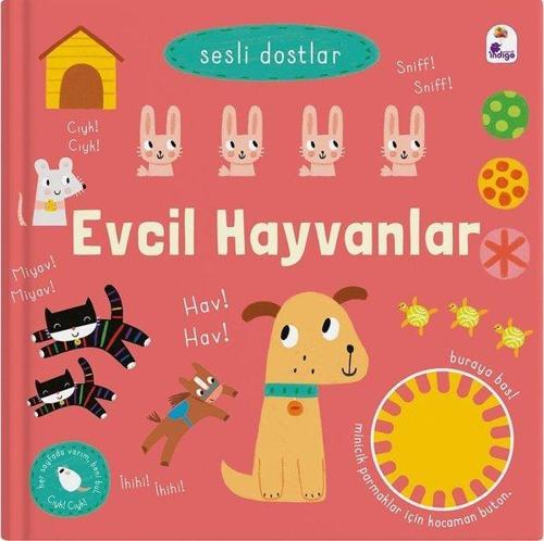 Evcil Hayvanlar - Sesli Dostlar