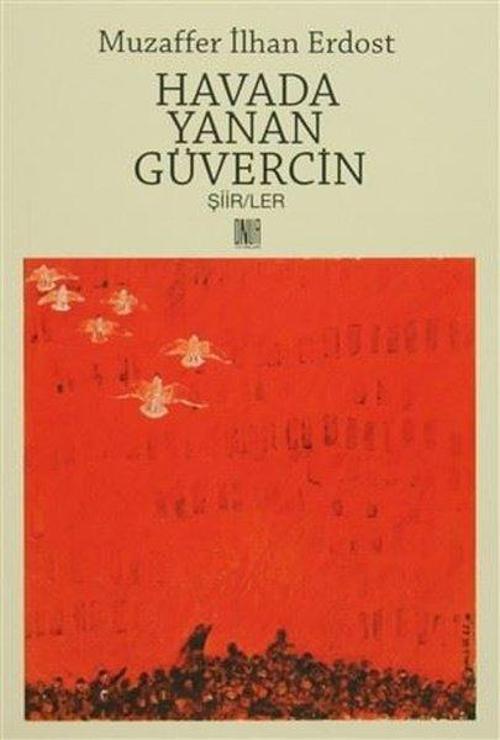 Havada Yanan Güvercin