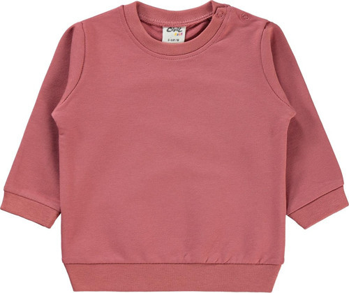 Bebek Sweatshirt 6-18 Ay Gül Kurusu