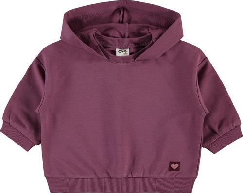 Erkek Bebek Kapüşonlu Sweatshirt 6-18 Ay Koyu Gül Kurusu