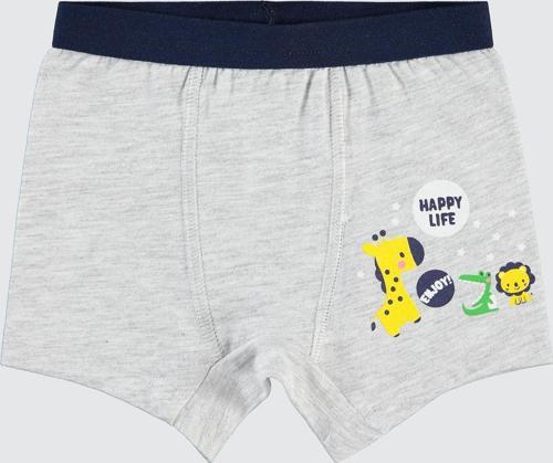 Erkek Bebek Boxer 9-18 Ay Gri