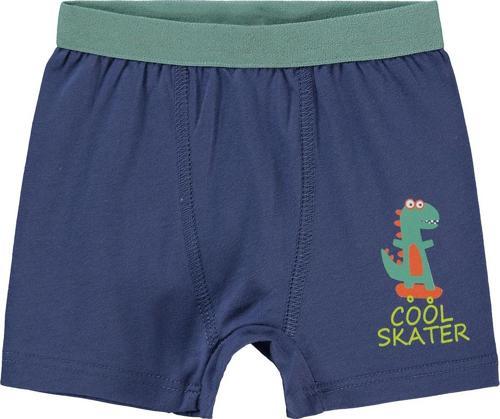 Erkek Bebek Boxer 9-18 Ay Mavi