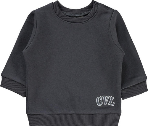 Erkek Bebek Sweatshirt 6-18 Ay Füme
