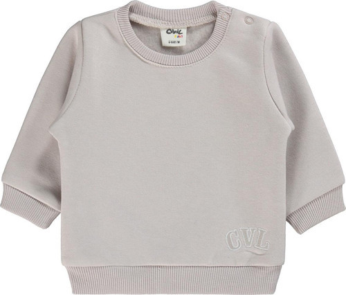 Erkek Bebek Sweatshirt 6-18 Ay Gri