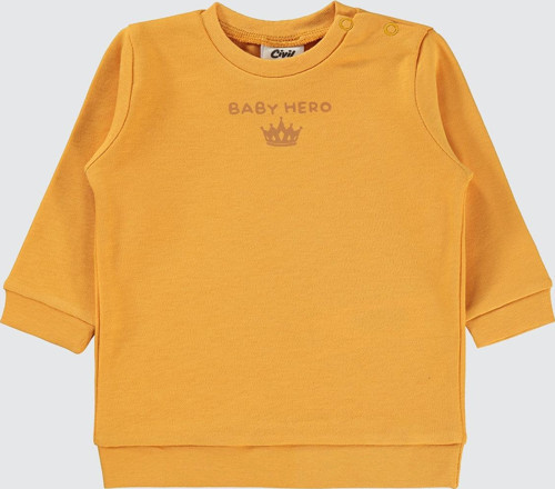 Erkek Bebek Sweatshirt 6-18 Ay Hardal