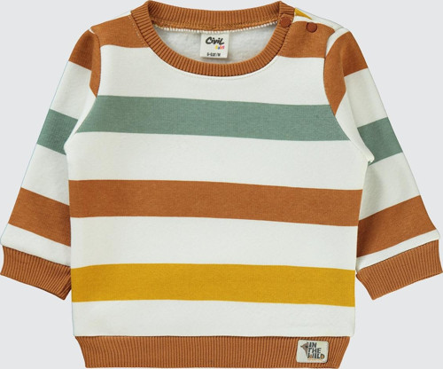 Erkek Bebek Sweatshirt 6-18 Ay Kahve