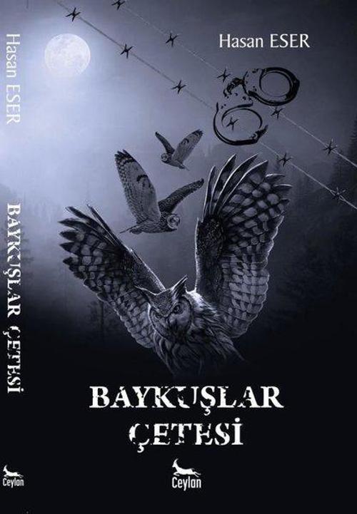 Ceylan Yayıncılık Baykuşlar Çetesi