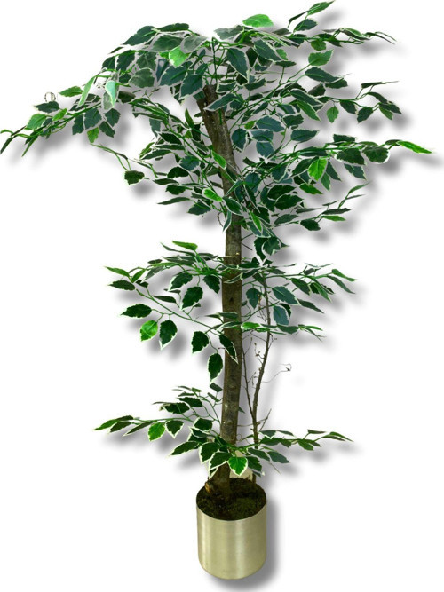 Yapay Ağaç Ficus 120 Cm 15X15 Cm Metal Saksı