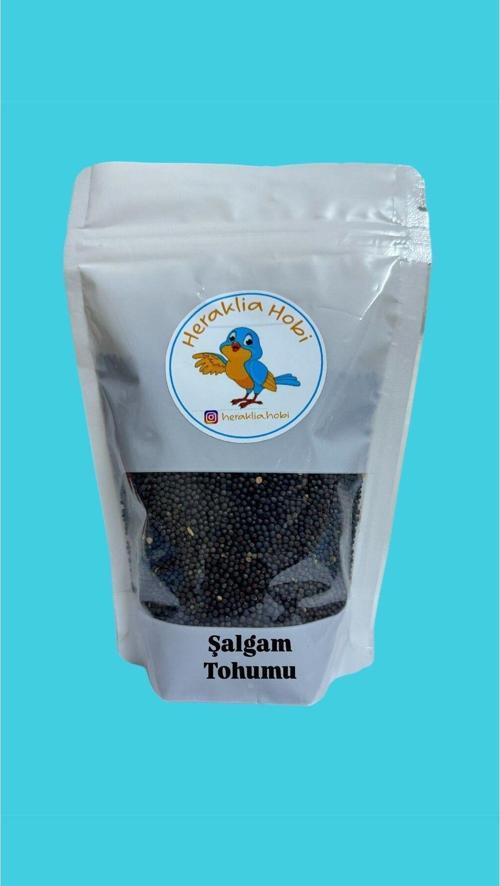 Şalgam Tohumu