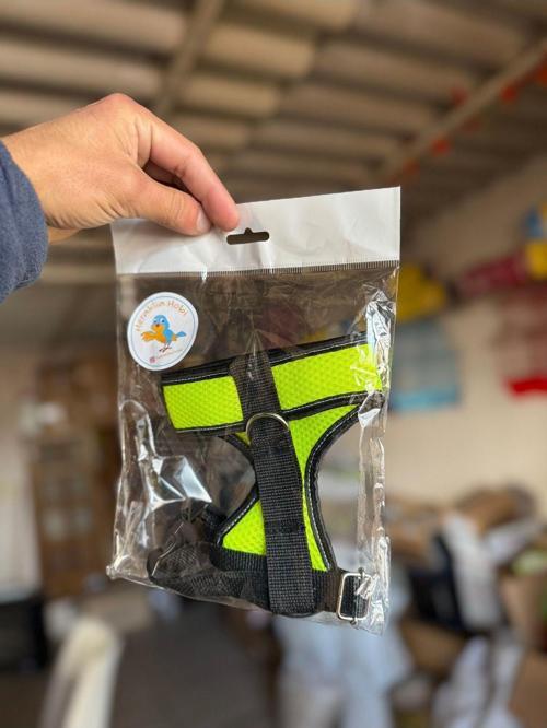 Kedi Kaçış Önleyici Tasma