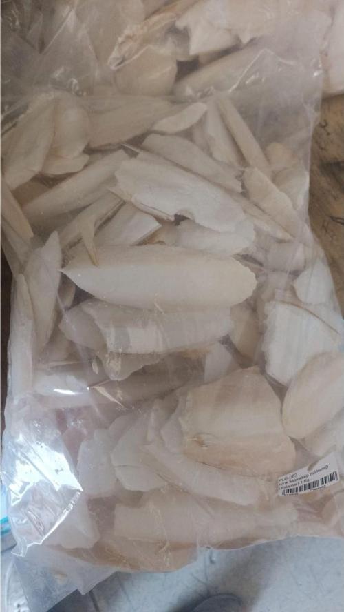 Kalamar Kemiği 1 Kg Kırıklı Karışık