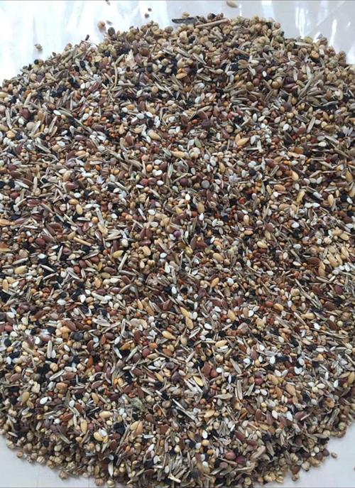 Kuşlarınız Için 22 Çeşit Içeren Yabani Sağlık Tohumu - -250 Gram