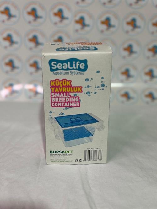 Sealife Küçük Tekli Yavruluk