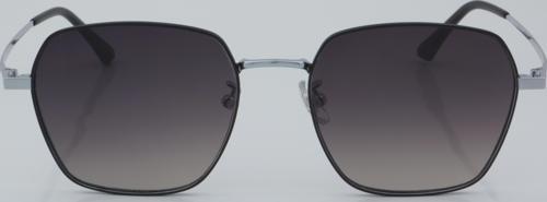 SWING EXCLUSIVE GÜNEŞ SE 77068 C2 53 - 01 Güneş Gözlüğü