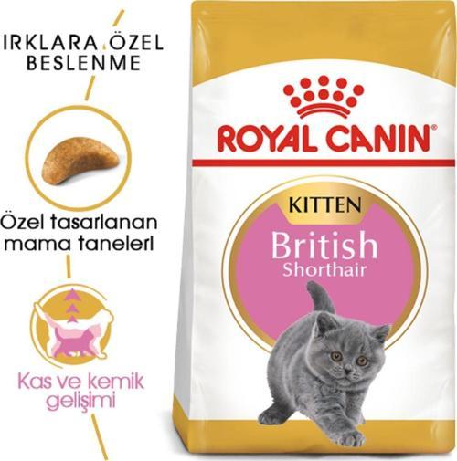 British Shorthair Için Yavru Kedi Maması 2kg