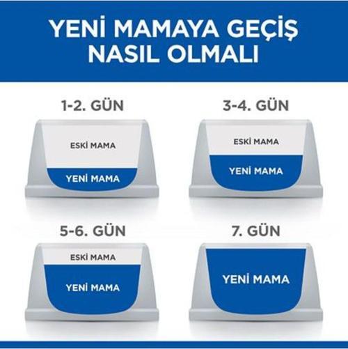 SCIENCE PLAN Somonlu Kısırlaştırılmış Yetişkin Kedi Maması 8+2 kg