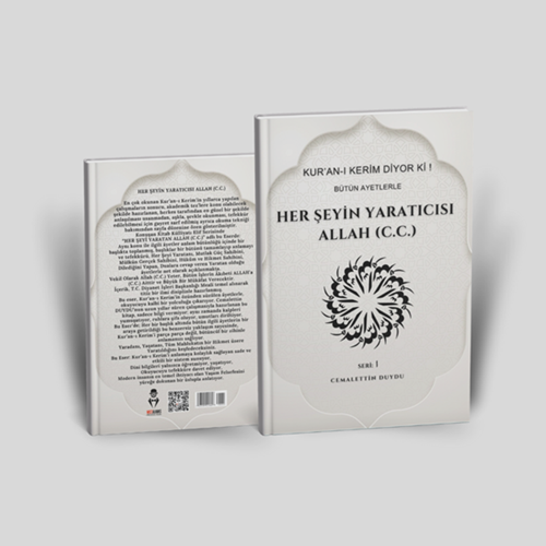 HER ŞEYİN YARATICISI ALLAH