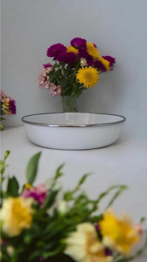 Emaye Zırhlı Muhallebi Kasesi 24 Cm Desenli Yemek Kahvaltı Tabak Desenli Salata Cips Tabak