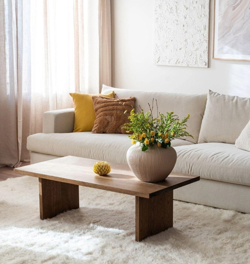 Eriza Titan, Dikdörtgen Modern Yeni Nesil Orta Sehpa, Ceviz