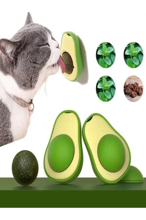 Catnipli Yenilebilir Kedi Nanesi Otu Oyuncağı